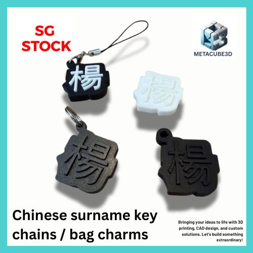 Chinese surname key chains / bag charms