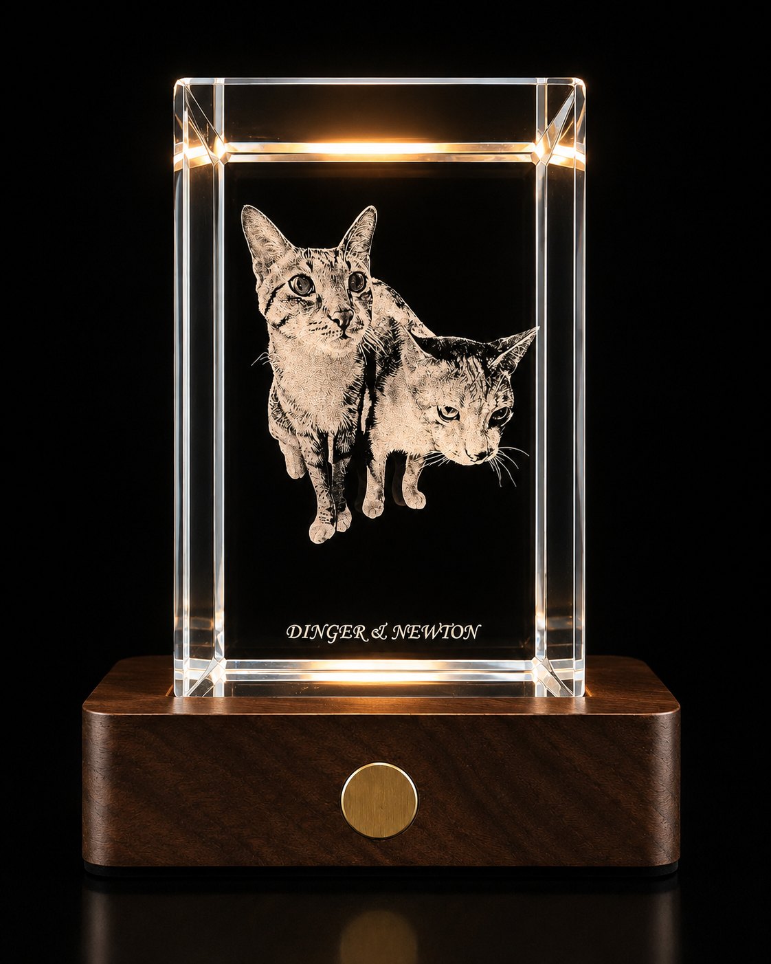 3D photo crystal of two cats, Dinger and Newton, engraved inside solid crystal, glowing warmly on a walnut LED base against black